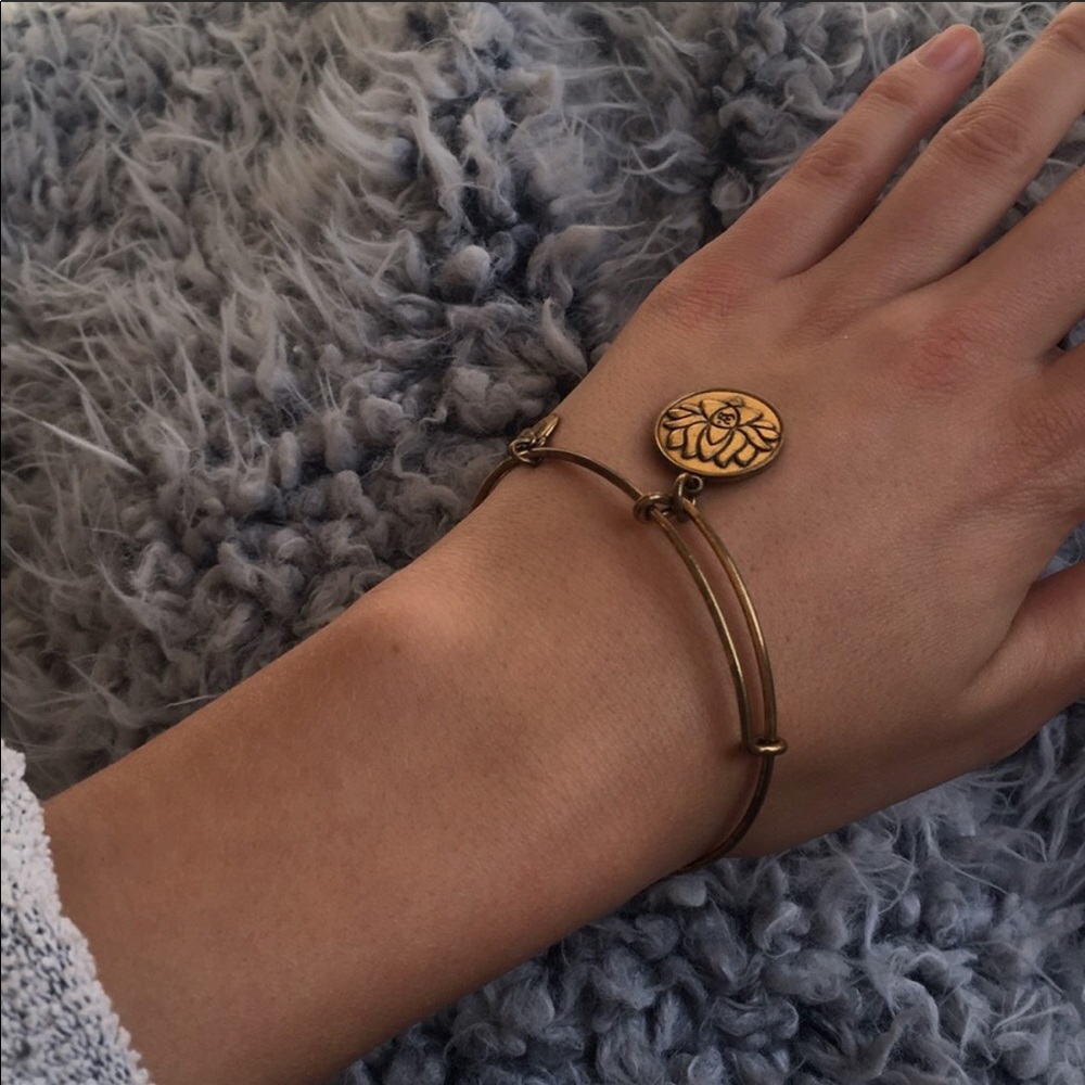 Lotus peace petals flower symbol